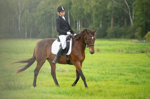 CAVALER ET SON CHEVAL