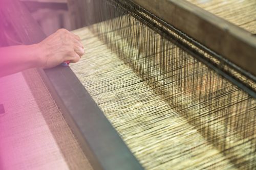 Le ver à soie : maître artisan de ce textile précieux