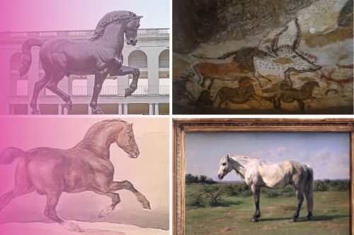 De l'écurie à l'atelier : le cheval comme muse intemporelle