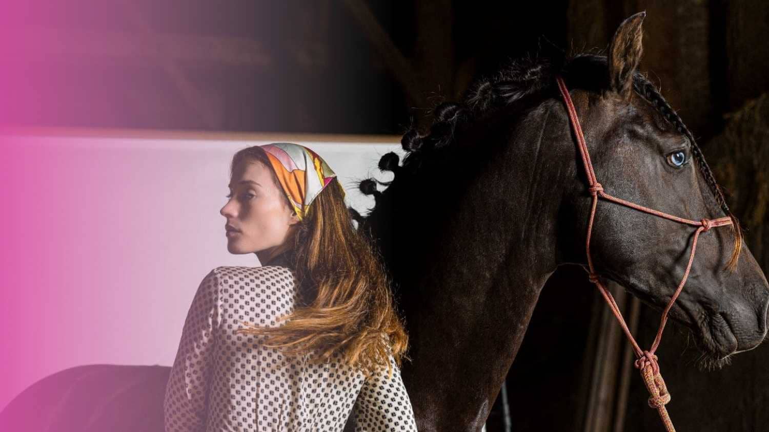 Pourquoi la protection des chevaux est une priorité pour SoieToi ?