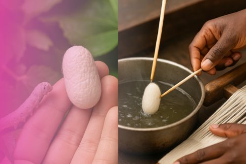 Qui a inventé la soie ? Une légende tissée entre mythe et histoire